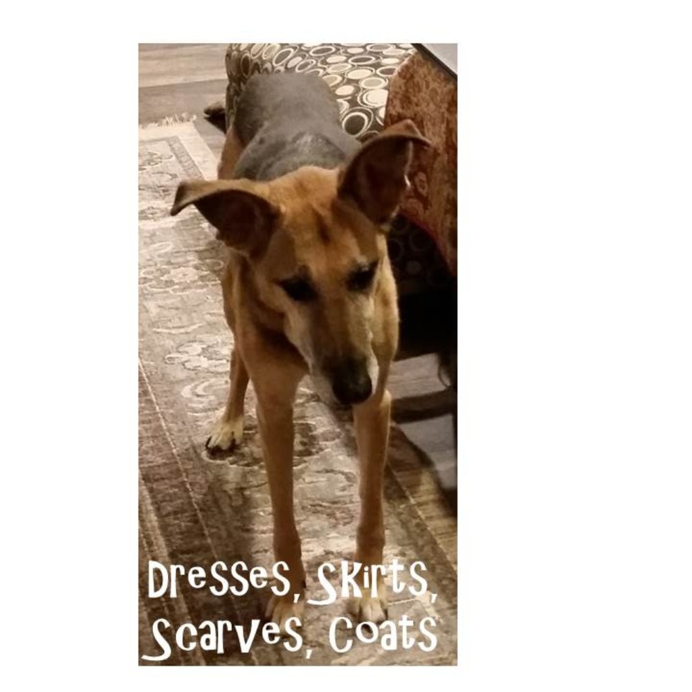 Dresses, Skirts, Scarves, & Coats